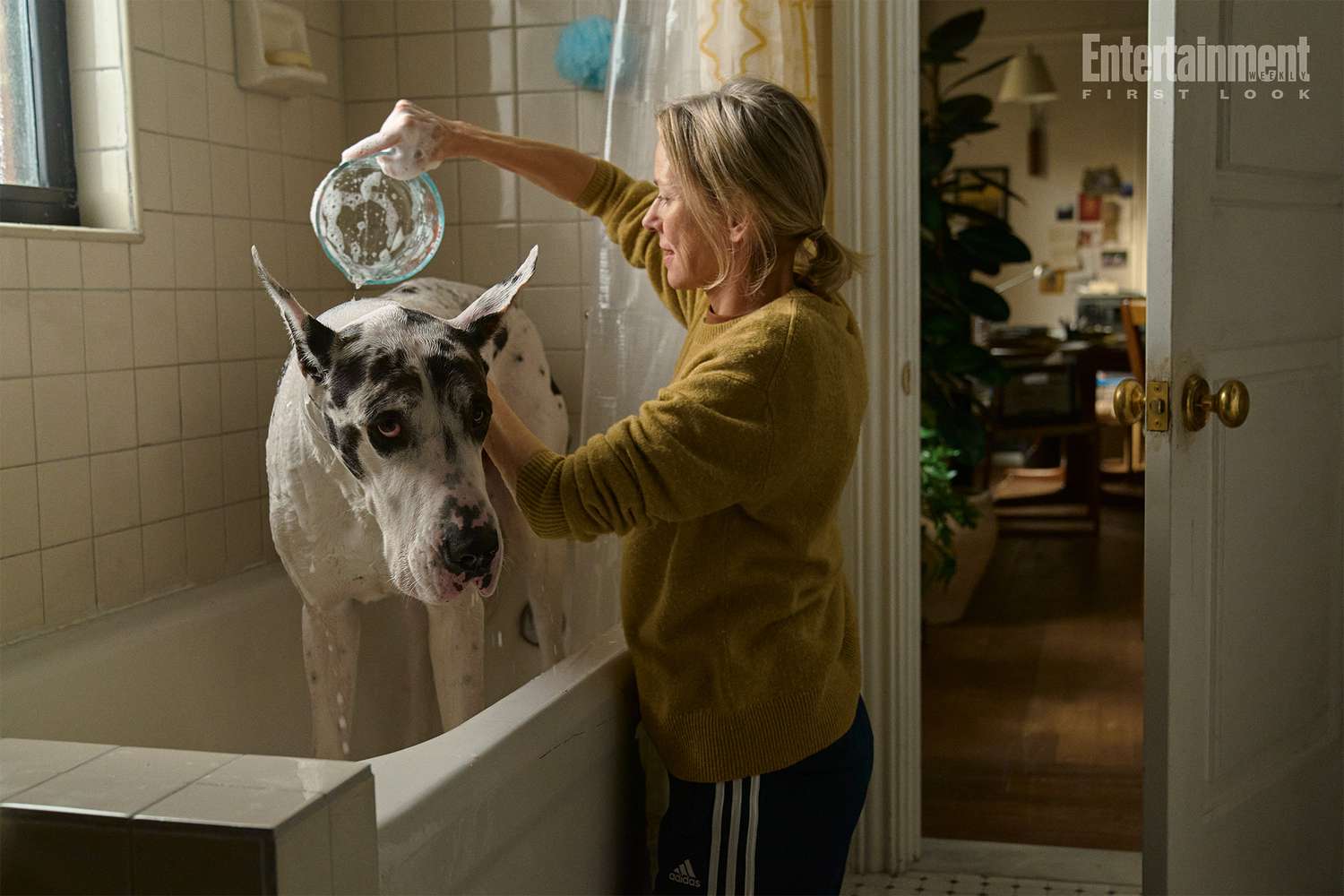 Naomi Watts inherits a Great Dane in exclusive 'The Friend' first look