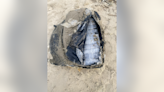 Large amount of cocaine washes up on Jamaica Beach in Galveston