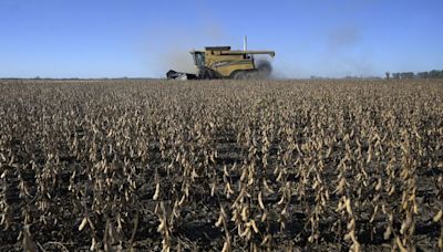 Argentina’s Soybean Crushers Strike Just as Harvest Gathers Pace