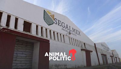 Vinculan a proceso a René Gavira, señalado en Caso Segalmex, por presunta delincuencia organizada