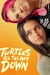 Turtles all the way down (película)
