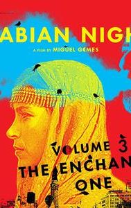 Arabian Nights: Volume 3 -- The Enchanted One