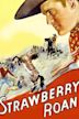Strawberry Roan (1933 film)