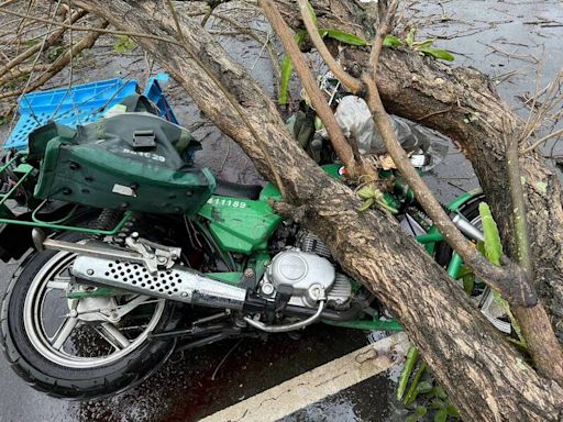 彰化芬園郵差遭大樹壓死 最美主持人譜3曲送行