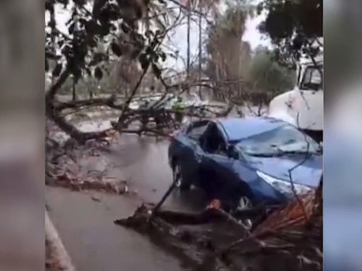Delcy Rodríguez resulta herida, "muy golpeada", tras caerle un árbol encima por el huracán Beryl