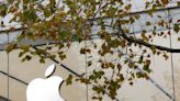 Biden administration urges Supreme Court not to hear Apple-Caltech patent case