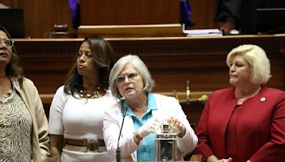 Voters kick all the Republican women out of the South Carolina Senate