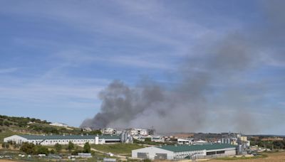 Mueren en España 600.000 gallinas por el incendio de una granja avícola