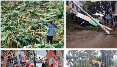 颱風「摩羯」兩次登陸廣東徐聞 蕉園全軍覆滅 | 焦田 | 大紀元