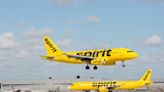 10 people were reportedly injured on a Spirit Airlines flight after a battery fire in an overhead bin