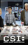 CSI: Crime Scene Investigation - Season 12