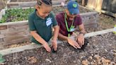 The Green Heart Project: Cultivating community through gardening