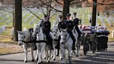 Return of horse-drawn funerals at Arlington National Cemetery delayed