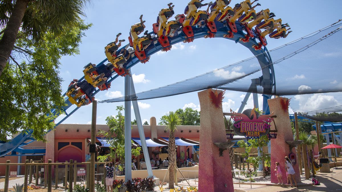 We got a peek at Busch Gardens Tampa’s new rollercoaster, Phoenix Rising