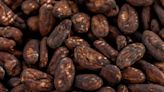 Cocoa Scarcity Distorts Grinding Data’s Role as Guide of Demand