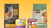 The best senior dog food of 2024, with advice from veterinarians