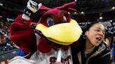 Don't be fooled when South Carolina women's basketball appears challenged. The kill is coming.