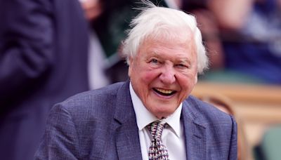 Sir David Attenborough and David Beckham among stars at Wimbledon