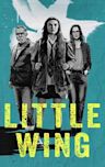 Little Wing (2024 film)