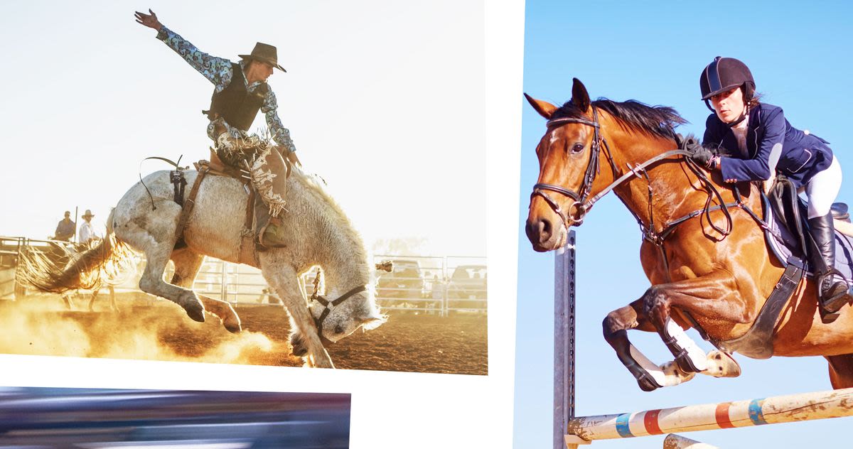 A Non-Horse Girl’s Guide to Horse Sports