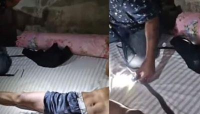 Cobra Slips Into Thailand Man’s Shorts While He's Asleep. Here's What Happened Next - News18