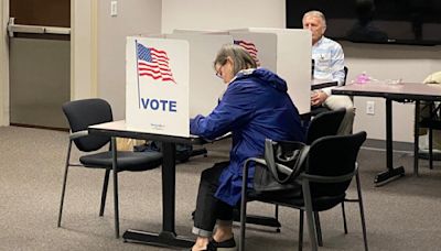Virginia voter guide: What local races are on the ballot for the 2024 primary election - WTOP News