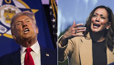 El debate con Donald Trump somete a un examen decisivo a Kamala Harris