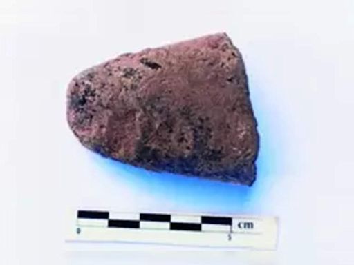 Archaeologists excavate 4,000-year-old cutting weapon from Sennanur site | Salem News - Times of India