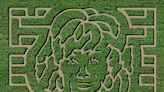 That's a-maze-ing: Bucks County home to Reba McEntire-themed corn mazes