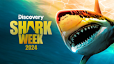 Shark Week 2024 is in full swing. Here's how to watch if you don't have cable