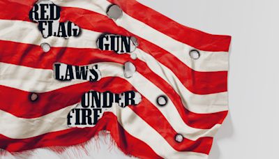 How Second Amendment Radicals Are Attacking Laws Meant to Keep Firearms Out of the Wrong Hands