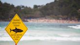 Man feared dead after shark attack off remote beach in South Australia