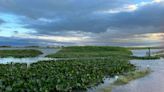 Las inundaciones en Uruguay ponen en riesgo las cosechas de arroz y soja