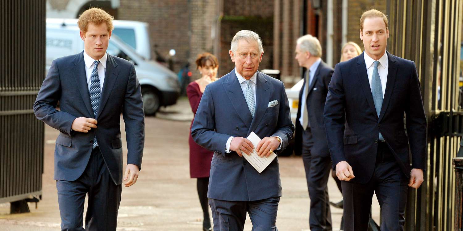 How King Charles Reportedly Plans to Resolve Prince Harry and William's Feud