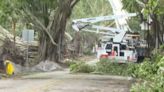 Hobe Sound, Jupiter Island storm cleanup - what roads are open and closed