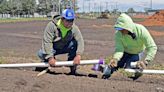 Mandan’s youth baseball and Faris Field complexes undergoing $5 million renovation