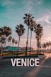 Venice the Series