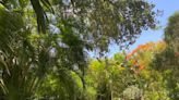 Coral Gables despeja el camino para que un jardín religioso sea sustituido por apartamentos