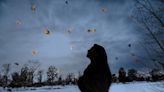 Boulder County photographer captures the stories of young refugees through silhouettes