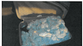 Police seize 44 pounds of fentanyl pills in Las Vegas-area casino parking lot