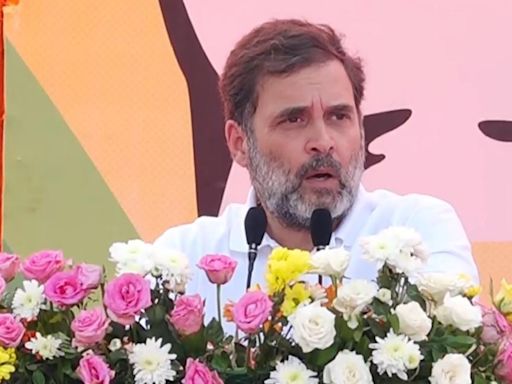 J&K's statehood will be restored, local businesses and industries will be protected: Rahul Gandhi