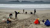 Spain declares environmental emergency over plastic pellets spillage from ship