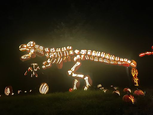 Great Jack 'O Lantern Blaze: 3 things to know ahead of the annual attraction