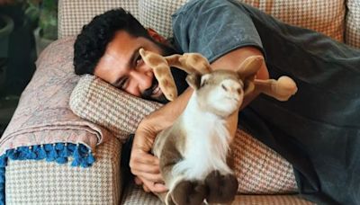Katrina Kaif Turns Photographer For Husband Vicky Kaushal, Smitten Fans Remind Themselves 'He Is Married'