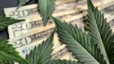 How cannabis stocks can win big with new policy changes