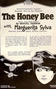 The Honey Bee