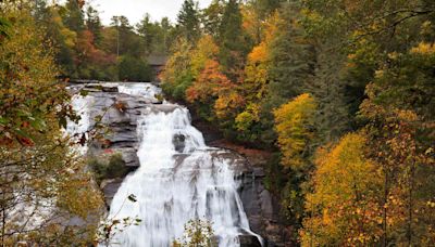 10 Best Places to See Fall Foliage in North Carolina