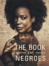 The Book of Negroes