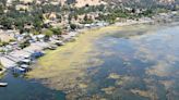 Reviving a famously polluted California lake