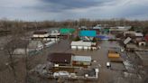 'We're like Noah's ark' says animal shelter in flooded Russian city